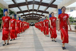 礼仪志愿者 专业服务与奉献精神的生动写照